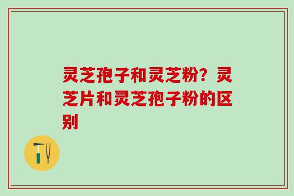 灵芝孢子和灵芝粉？灵芝片和灵芝孢子粉的区别