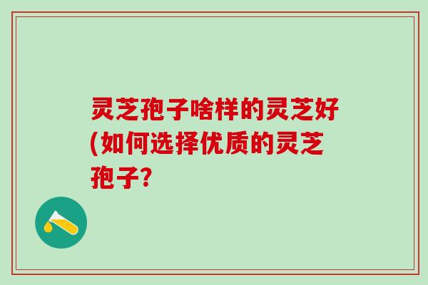 灵芝孢子啥样的灵芝好(如何选择优质的灵芝孢子? 灵芝孢子啥样的灵芝好(如何选择优质的灵芝孢子?