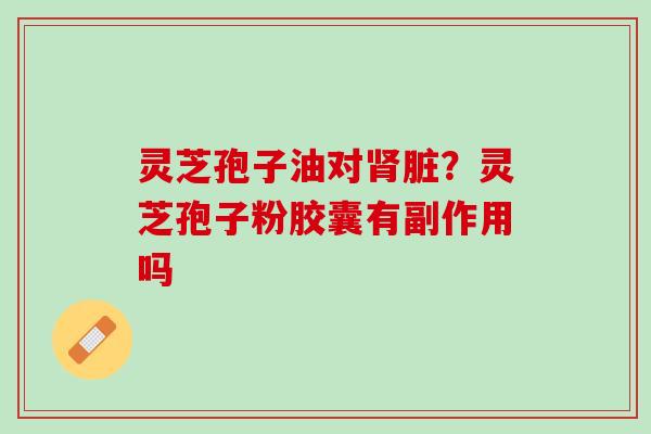 灵芝孢子油对肾脏？灵芝孢子粉胶囊有副作用吗
