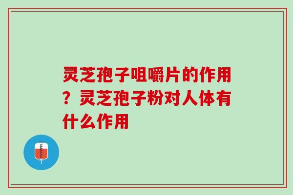 灵芝孢子咀嚼片的作用？灵芝孢子粉对人体有什么作用