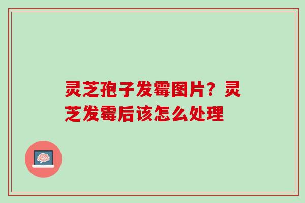 灵芝孢子发霉图片？灵芝发霉后该怎么处理