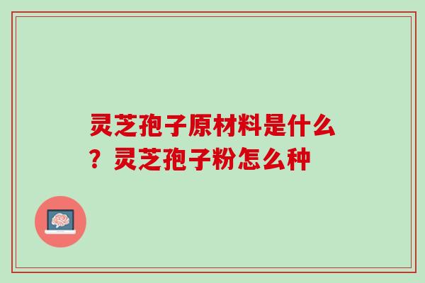 灵芝孢子原材料是什么？灵芝孢子粉怎么种