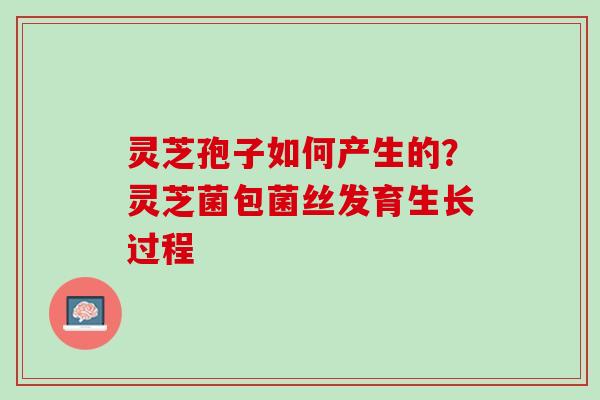 灵芝孢子如何产生的?灵芝菌包菌丝发育生长过程 灵芝孢子如何产生的?灵芝菌包菌丝发育生长过程
