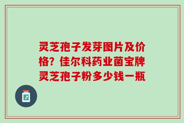 灵芝孢子发芽图片及价格？佳尔科药业菌宝牌灵芝孢子粉多少钱一瓶