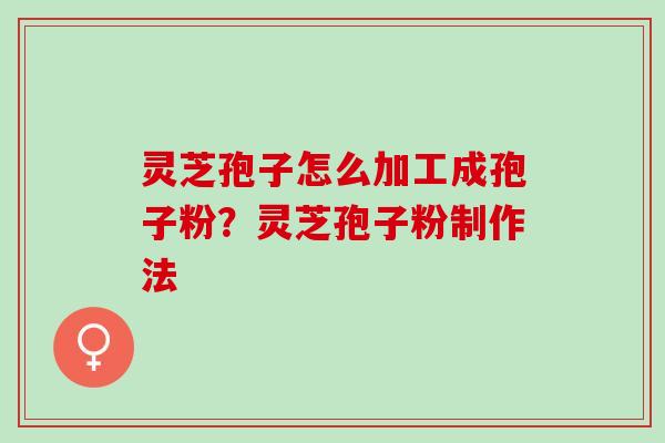 灵芝孢子怎么加工成孢子粉？灵芝孢子粉制作法