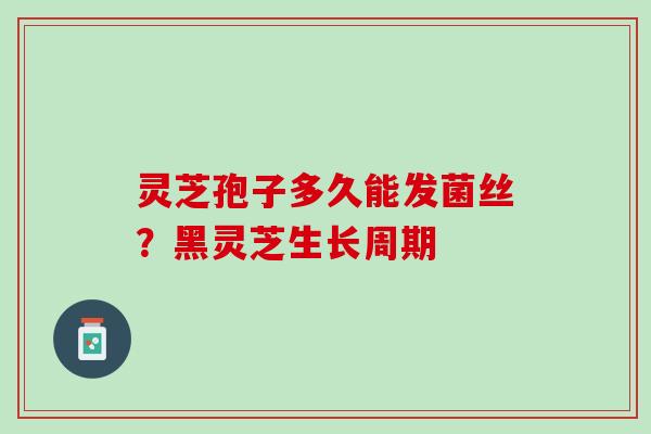 灵芝孢子多久能发菌丝？黑灵芝生长周期