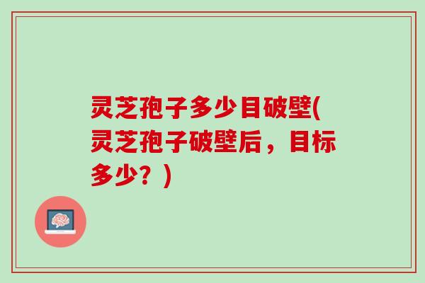 灵芝孢子多少目破壁(灵芝孢子破壁后，目标多少？)
