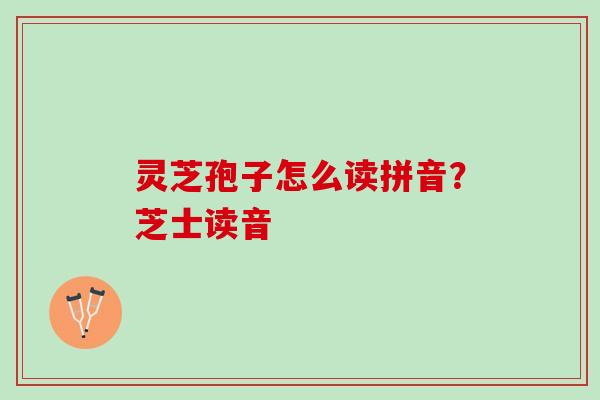 灵芝孢子怎么读拼音？芝士读音
