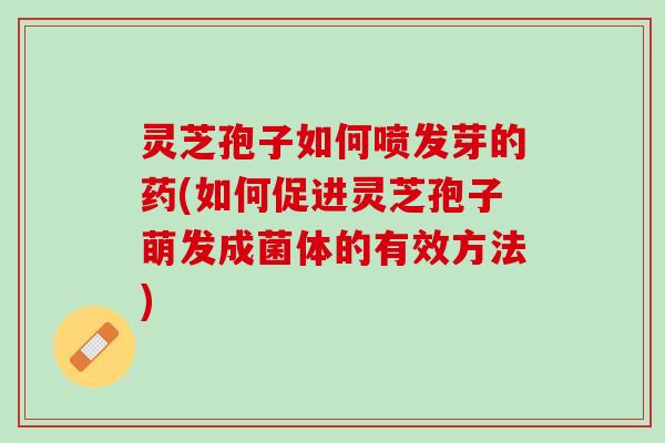 灵芝孢子如何喷发芽的药(如何促进灵芝孢子萌发成菌体的有效方法)
