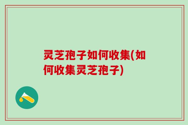 灵芝孢子如何收集(如何收集灵芝孢子)