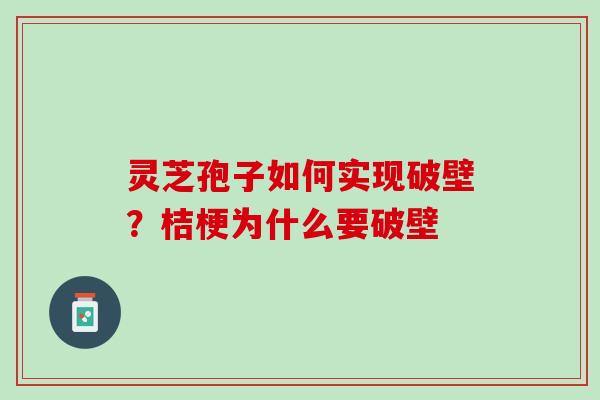 灵芝孢子如何实现破壁？桔梗为什么要破壁