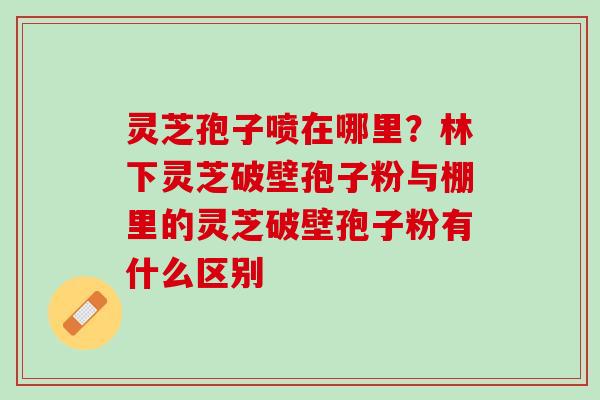 灵芝孢子喷在哪里?林下灵芝破壁孢子粉与棚里的灵芝破壁孢子粉有什么区别 灵芝孢子喷在哪里?林下灵芝破壁孢子粉与棚里的灵芝破壁孢子粉有什么区别