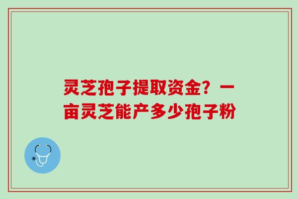 灵芝孢子提取资金？一亩灵芝能产多少孢子粉