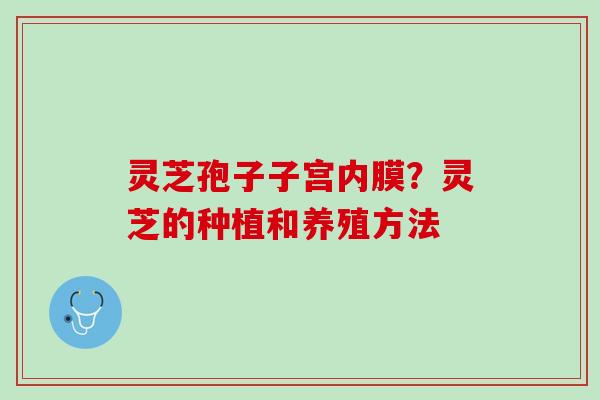 灵芝孢子子宫内膜？灵芝的种植和养殖方法