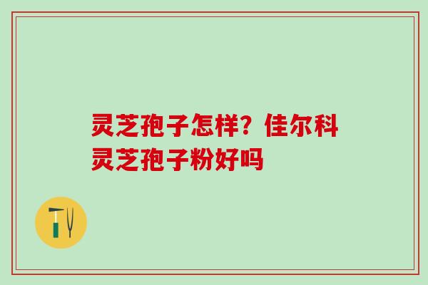 灵芝孢子怎样?佳尔科灵芝孢子粉好吗 灵芝孢子怎样?佳尔科灵芝孢子粉好吗