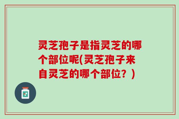 灵芝孢子是指灵芝的哪个部位呢(灵芝孢子来自灵芝的哪个部位？)
