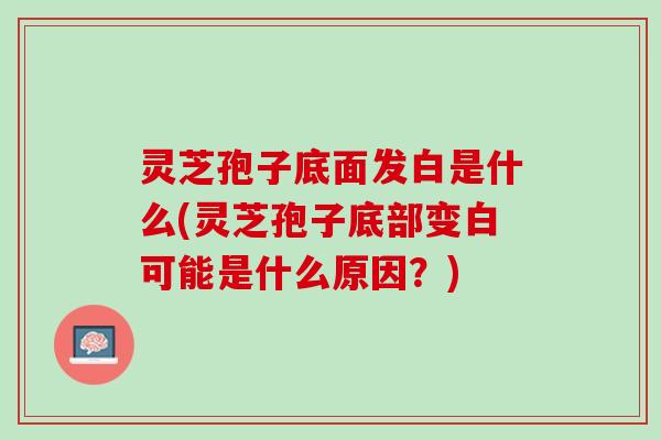 灵芝孢子底面发白是什么(灵芝孢子底部变白可能是什么原因？)