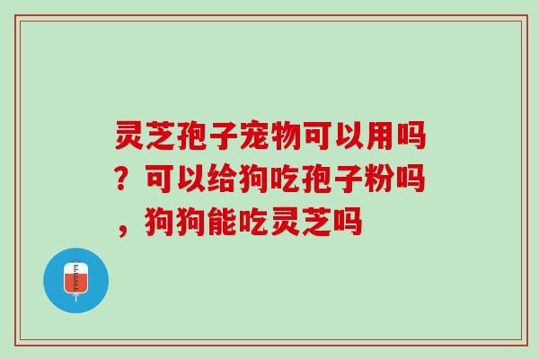 灵芝孢子宠物可以用吗？可以给狗吃孢子粉吗，狗狗能吃灵芝吗