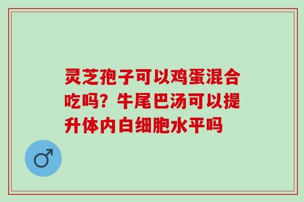 灵芝孢子可以鸡蛋混合吃吗？牛尾巴汤可以提升体内白细胞水平吗