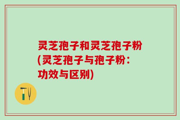 灵芝孢子和灵芝孢子粉(灵芝孢子与孢子粉：功效与区别)