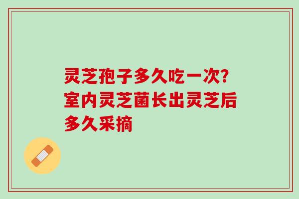 灵芝孢子多久吃一次？室内灵芝菌长出灵芝后多久采摘