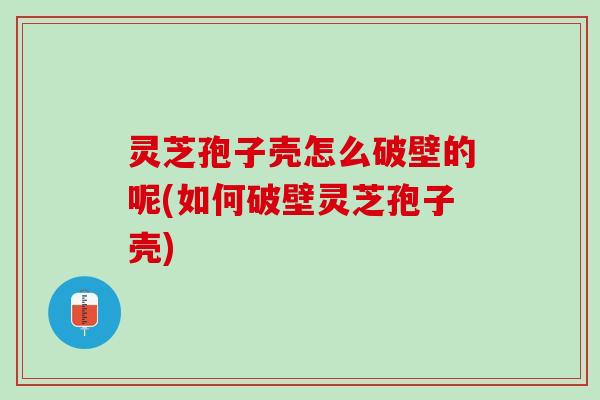 灵芝孢子壳怎么破壁的呢(如何破壁灵芝孢子壳)