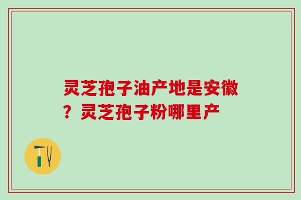 灵芝孢子油产地是安徽？灵芝孢子粉哪里产