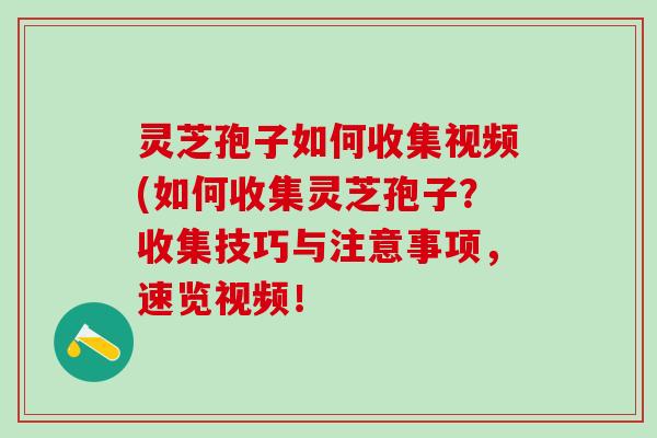 灵芝孢子如何收集视频(如何收集灵芝孢子?收集技巧与注意事项,速览视频! 灵芝孢子如何收集视频(如何收集灵芝孢子?收集技巧与注意事项,速览视频!