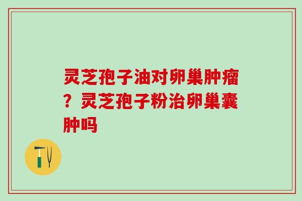 灵芝孢子油对卵巢？灵芝孢子粉卵巢囊肿吗