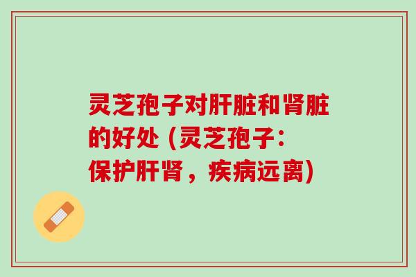 灵芝孢子对肝脏和肾脏的好处 (灵芝孢子：保护肝肾，疾病远离)