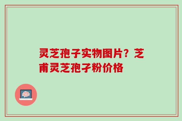 灵芝孢子实物图片？芝甫灵芝孢孑粉价格