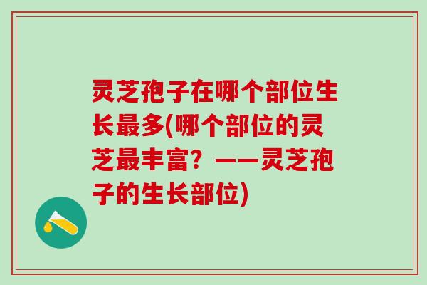 灵芝孢子在哪个部位生长多(哪个部位的灵芝丰富?——灵芝孢子的生长部位) 灵芝孢子在哪个部位生长多(哪个部位的灵芝丰富?——灵芝孢子的生长部位)
