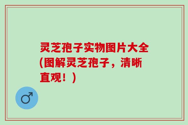 灵芝孢子实物图片大全(图解灵芝孢子，清晰直观！)