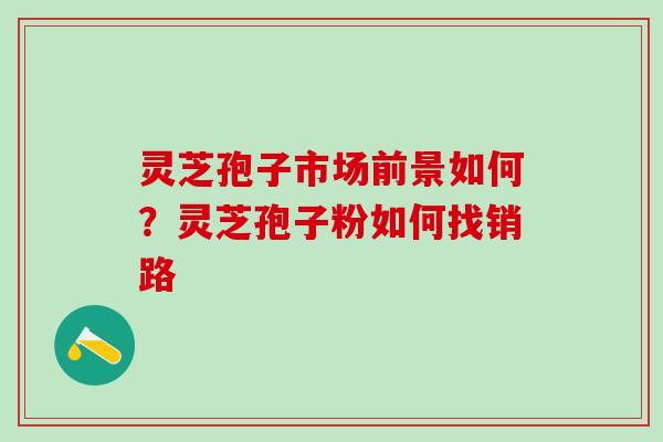 灵芝孢子市场前景如何？灵芝孢子粉如何找销路
