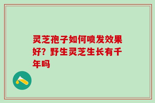 灵芝孢子如何喷发效果好？野生灵芝生长有千年吗