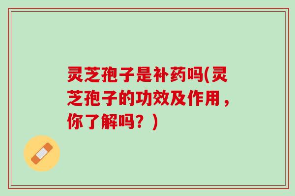 灵芝孢子是补药吗(灵芝孢子的功效及作用，你了解吗？)