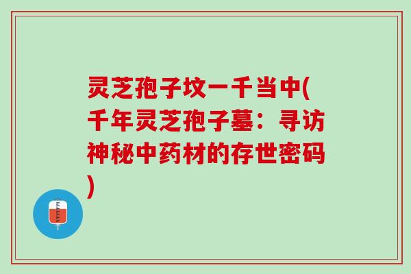 灵芝孢子坟一千当中(千年灵芝孢子墓：寻访神秘中药材的存世密码)