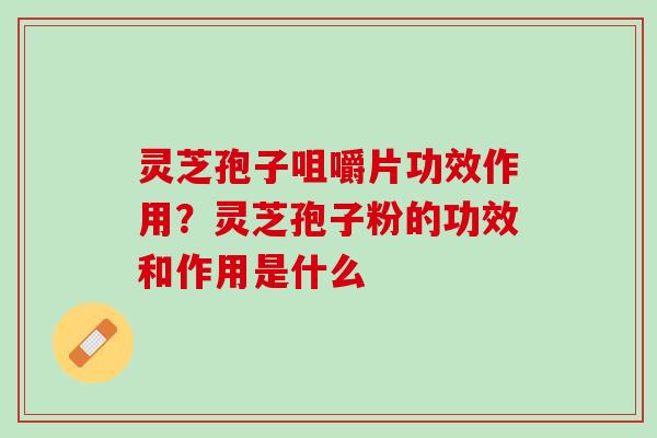 灵芝孢子咀嚼片功效作用？灵芝孢子粉的功效和作用是什么