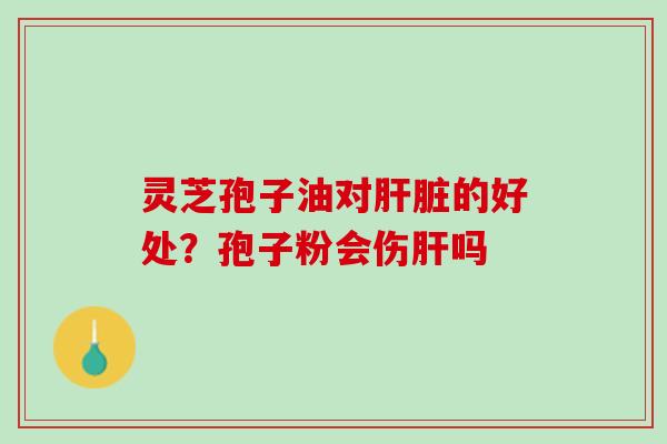 灵芝孢子油对的好处？孢子粉会伤吗