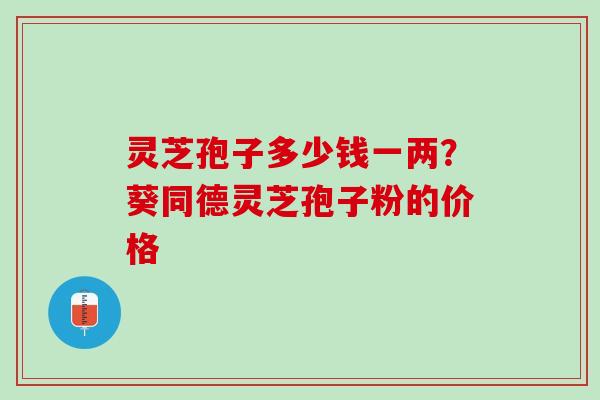 灵芝孢子多少钱一两?葵同德灵芝孢子粉的价格 灵芝孢子多少钱一两?葵同德灵芝孢子粉的价格