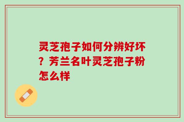 灵芝孢子如何分辨好坏？芳兰名叶灵芝孢子粉怎么样