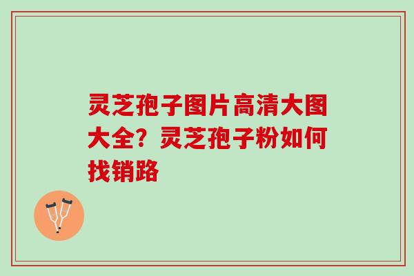 灵芝孢子图片高清大图大全?灵芝孢子粉如何找销路 灵芝孢子图片高清大图大全?灵芝孢子粉如何找销路