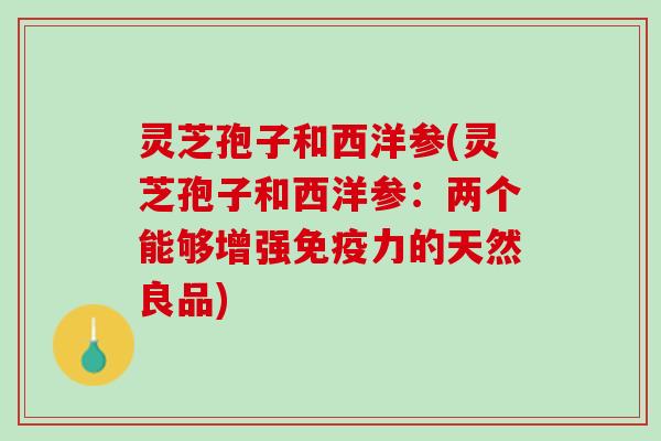 灵芝孢子和西洋参(灵芝孢子和西洋参：两个能够增强免疫力的天然良品)