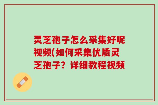灵芝孢子怎么采集好呢视频(如何采集优质灵芝孢子?详细教程视频 灵芝孢子怎么采集好呢视频(如何采集优质灵芝孢子?详细教程视频