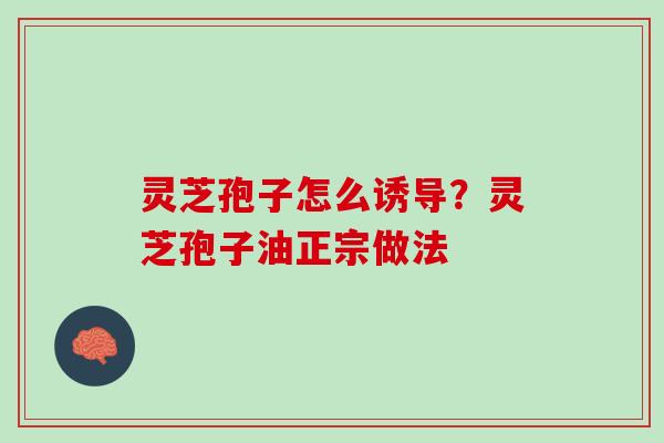 灵芝孢子怎么诱导？灵芝孢子油正宗做法