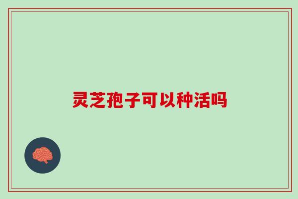 灵芝孢子可以种活吗