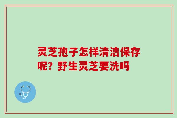 灵芝孢子怎样清洁保存呢？野生灵芝要洗吗