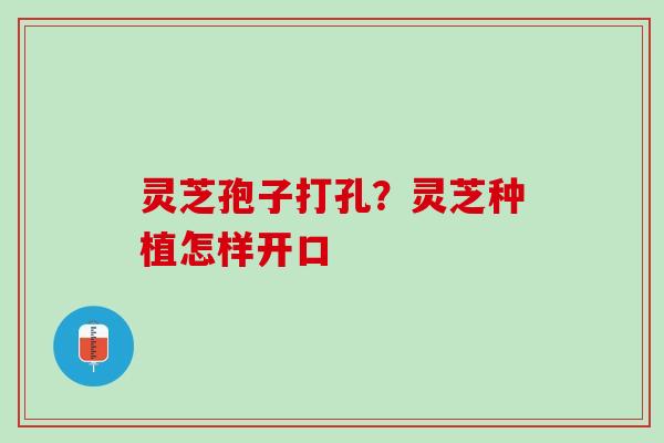 灵芝孢子打孔?灵芝种植怎样开口 灵芝孢子打孔?灵芝种植怎样开口