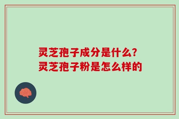 灵芝孢子成分是什么？灵芝孢子粉是怎么样的