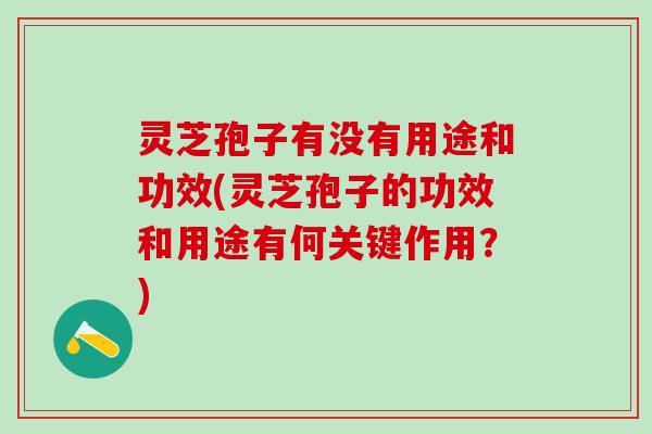 灵芝孢子有没有用途和功效(灵芝孢子的功效和用途有何关键作用？)